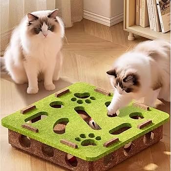 Fun For Cats Puzzle Toy