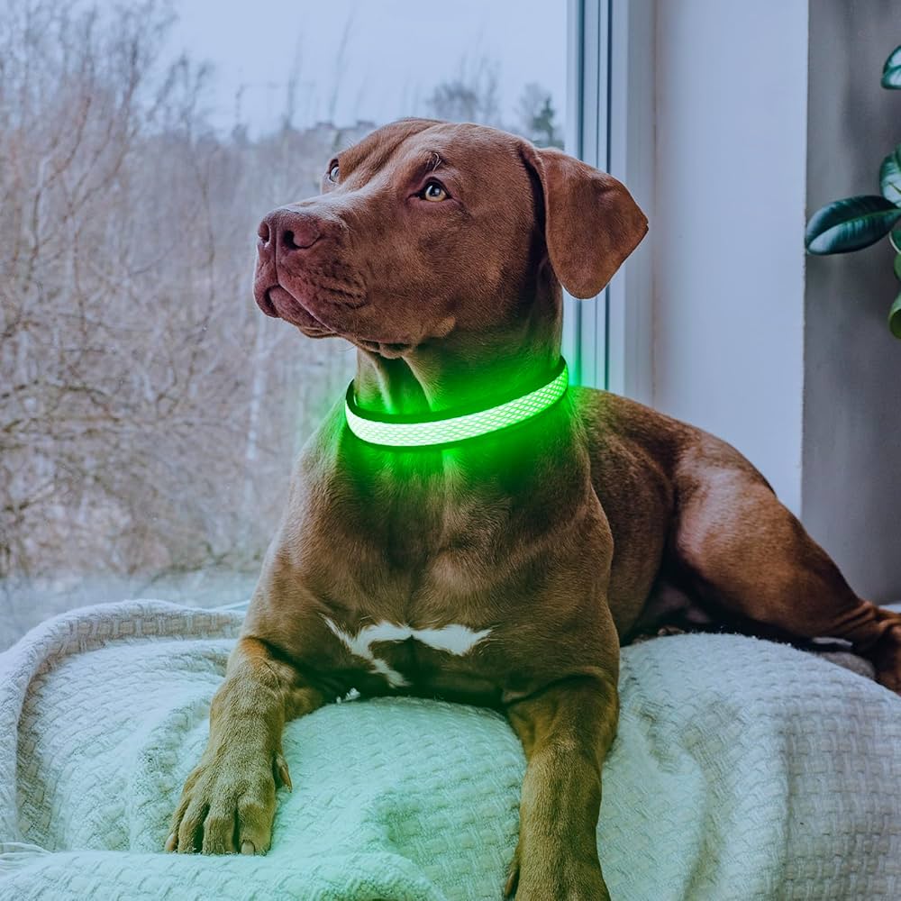 Pet Safety Lighting Reflective Collar