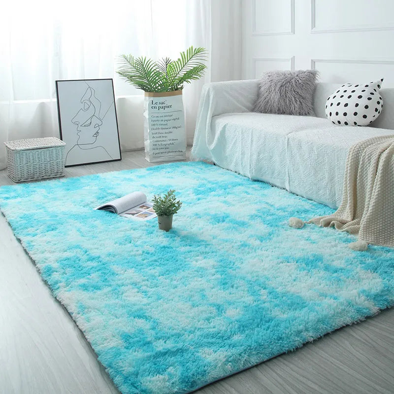Living room with a blue and white gradient rug, sofa, and decor items.