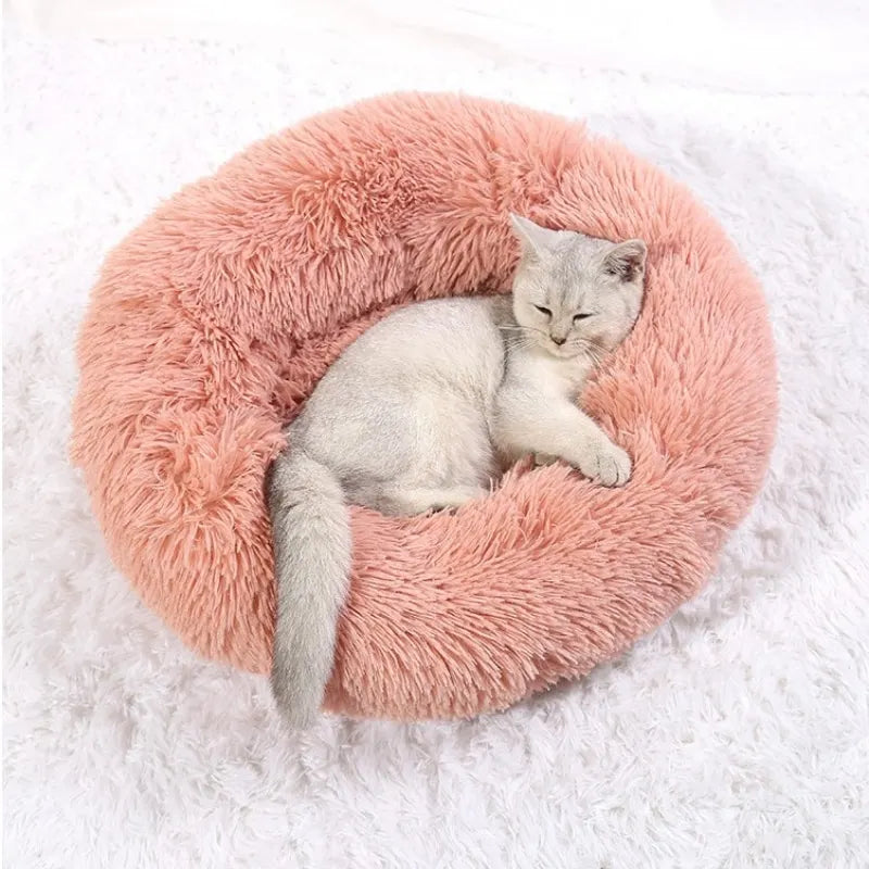 Cat lying on a fluffy pink pet bed against a white background