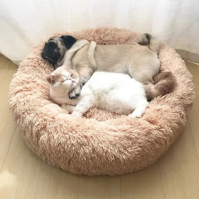 Two pets, a dog and a cat, lying on a fluffy pink pet bed.