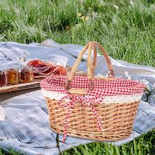 Wicker picnic basket with a red and white checkered lid on a blanket outdoors.